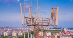 移动网络建设人员加快5G建设。　江苏移动供图　 - 江苏新闻网
