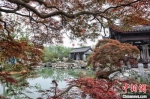 移步换景的园艺，让人无不感叹中式园艺的精妙。　泱波 摄 - 江苏新闻网