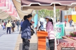 志愿者正在为游客答疑解惑。　扬州世园会新闻中心供图 - 江苏新闻网