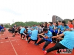 民众参与拔河比赛。葛勇 摄 - 江苏新闻网