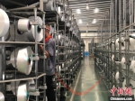 江苏恒能家纺新材料有限公司万余平的生产车间内，近500台各式织机一字排开。　刘林　摄 - 江苏新闻网