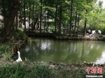 草房子乐园中的追忆怀旧区域环境清幽。　顾名筛 摄 - 江苏新闻网