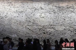 图为展出的“巨幕”老汴河河道剖面。　泱波 摄 - 江苏新闻网