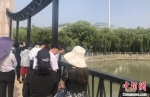 盐城市政协委员、党代表、人大代表和群众代表在毓龙桥上察看串场河整治工程。　于从文 摄 - 江苏新闻网