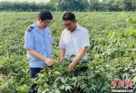 南京税务部门工作人员在走访农户送政策中了解到，税收利农、鼓励研发让张文献这样的新农人有了一片新天地。　申冉 摄 - 江苏新闻网