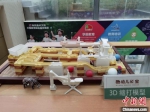 3D玩具模型。　朱晓颖 摄 - 江苏新闻网