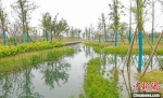 江边的常州污水处理厂人工湿地。　王锦萍　摄 - 江苏新闻网