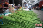 8月29日，在江苏联谊农副产品批发市场，商户在整理蔬菜。　孟德龙 摄 - 江苏新闻网