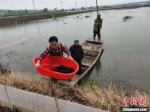 图为姚立浦和村民们正在养殖基地忙碌。　受访者供图 - 江苏新闻网