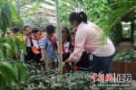 孩子们在植物研学馆学习知识。阜宁县融媒体中心供图 - 江苏新闻网