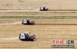 南京税收惠农政策助力农企重振士气。（资料图）泱波摄 - 江苏新闻网