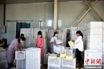 工人们在馋百味冷链物流园冷库果品包装车间忙碌。　朱志庚 摄 - 江苏新闻网