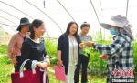 洪寒冬给来访者讲解豆丹养殖技术。　付米雯 摄 - 江苏新闻网