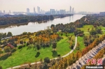 南京长江畔已由曾经的“生产锈带”变为绿意盎然的“生态秀带”。　泱波 摄 - 江苏新闻网