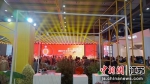 第十一届无锡文博会启幕。 孙权 摄 - 江苏新闻网