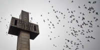 图为侵华日军南京大屠杀遇难同胞纪念馆纪念碑。(资料照片) 中新社记者 泱波 摄 - 江苏新闻网
