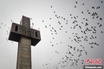 图为侵华日军南京大屠杀遇难同胞纪念馆纪念碑。(资料照片) 中新社记者 泱波 摄 - 江苏新闻网