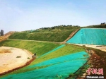 贾汪工业园区东山废弃矿山植被养护。　宋刚 摄 - 江苏新闻网