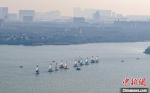参赛帆船一字排开。　杨楠 摄 - 江苏新闻网