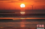 江苏在发展海洋经济的同时始终不忘生态保护，构成一幅候鸟与电力风车共长天一色的和谐图景。　单中华 摄 - 江苏新闻网