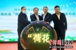 泗洪县举办“荷花村”农特产品区域公共品牌发布会。陈锐摄 - 江苏新闻网