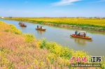 湖塘花海。大纵湖旅游度假区供图 - 江苏新闻网