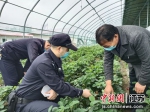 民警走访草莓园。盐都警方供图 - 江苏新闻网