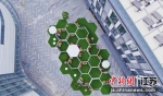 由南京市雨花台区打造的雨花快闪公园在“五一”假期前夕亮相。雨花台区农业农村局提供 - 江苏新闻网