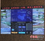 大屏上各类信息集中呈现。宜兴市农业农村局供图 - 江苏新闻网