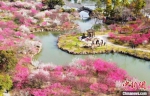 扬州瘦西湖的湖上梅林，被誉为江苏新晋“三大赏梅胜地”，也是扬州的“网红”打卡地之一。　孟德龙　摄 - 江苏新闻网