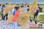 孩子们在油菜地里劳动。大纵湖旅游度假区供图 - 江苏新闻网