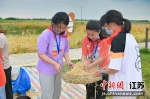 孩子们在油菜地里劳动。大纵湖旅游度假区供图 - 江苏新闻网