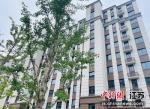 房屋交付现场。南京江宁开发区供图 - 江苏新闻网