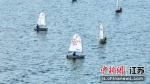 小选手扬帆起航。陆俊 摄 - 江苏新闻网