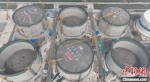3座27万立方米LNG储罐完成同步升顶。　中国海油盐城“绿能港”项目部供图 - 江苏新闻网