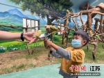 小鹦鹉互动园。 徐州九顶山野生动物园供图 - 江苏新闻网