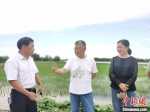 赵亚夫在田间地头与当地居民交流种植技术。　镇江市委统战部供图 - 江苏新闻网