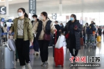 春节将至 南京机场迎来客流高峰 - 江苏新闻网
