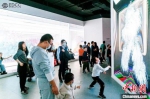 图为参观者与大屏互动。　苏州湾数字艺术馆供图 - 江苏新闻网