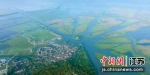 高空俯瞰九龙口湿地。建湖九龙口旅游度假区供图 - 江苏新闻网