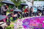 3月31日，扬州墓园举行第六届生态葬集中安放仪式。 - 江苏新闻网