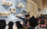 媒体嘉宾参观中国大运河博物馆。　钟升　摄 - 江苏新闻网