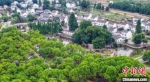 南京江宁区石地村，绿树、村庄构成了一幅和谐的生态画卷。(资料图) 泱波 摄 - 江苏新闻网