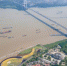 5月19日，靖江音乐花海广场与江阴大桥。江上“百舸争流”，江边风景如画。　(资料图) - 江苏新闻网