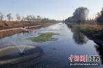 治理后的丰县大沙河西截渗沟，铺设了生态浮床，建设了亲水平台。 摄影：郭晓頔 - 江苏新闻网