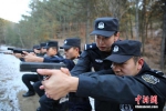 图为12月4日，王杰在特警训练基地内指导男特警队员进行射击训练。 - 妇女联合会