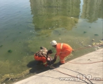 邯郸：女子“浮尸”湖面 消防救起发现仍有呼吸 - 消防总队