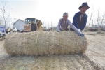 预计江苏今夏秸秆还田率超80% 秸秆还田还出天蓝地肥生态好 - 新华报业网