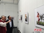 图为陈云林在观展时表示，文化是两岸和平发展的重要基石，来自民众的情感需求。　黄莹　摄 - 江苏新闻网