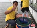 蟹农捕捞阳澄湖大闸蟹。　徐珊珊　摄 - 江苏新闻网